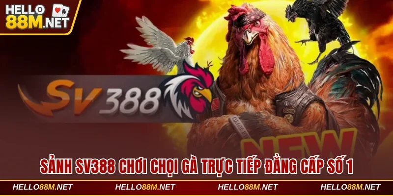 Sảnh SV388 Chơi Chọi Gà Trực Tiếp Đẳng Cấp Số 1 Châu Á
