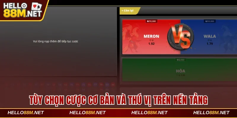 Tùy chọn cược cơ bản và thú vị trên nền tảng